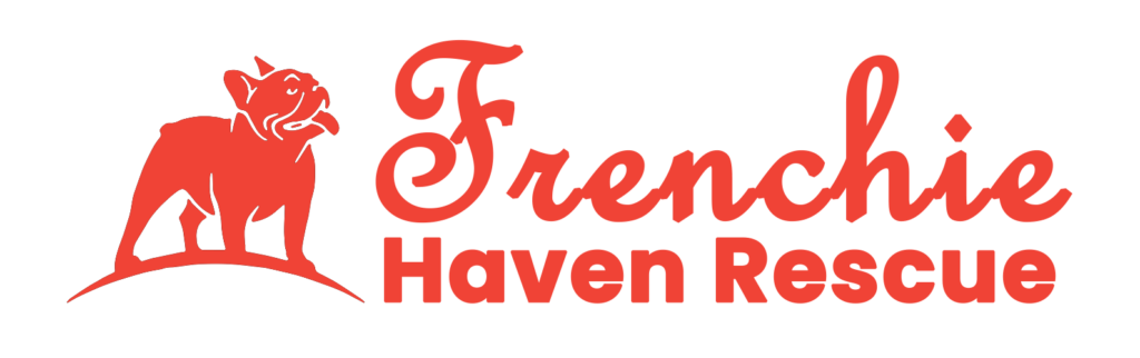 Frenchie Haven Rescue